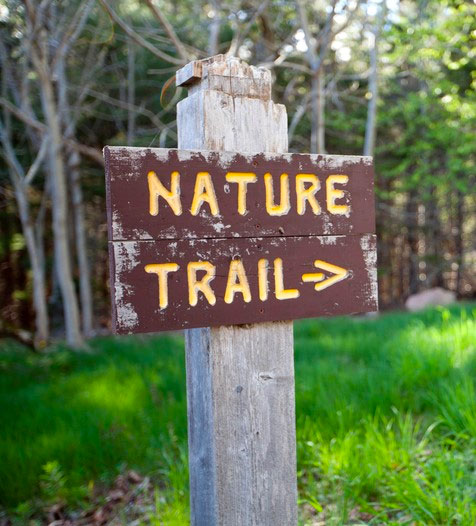 Nature Trails Sign in the Woods