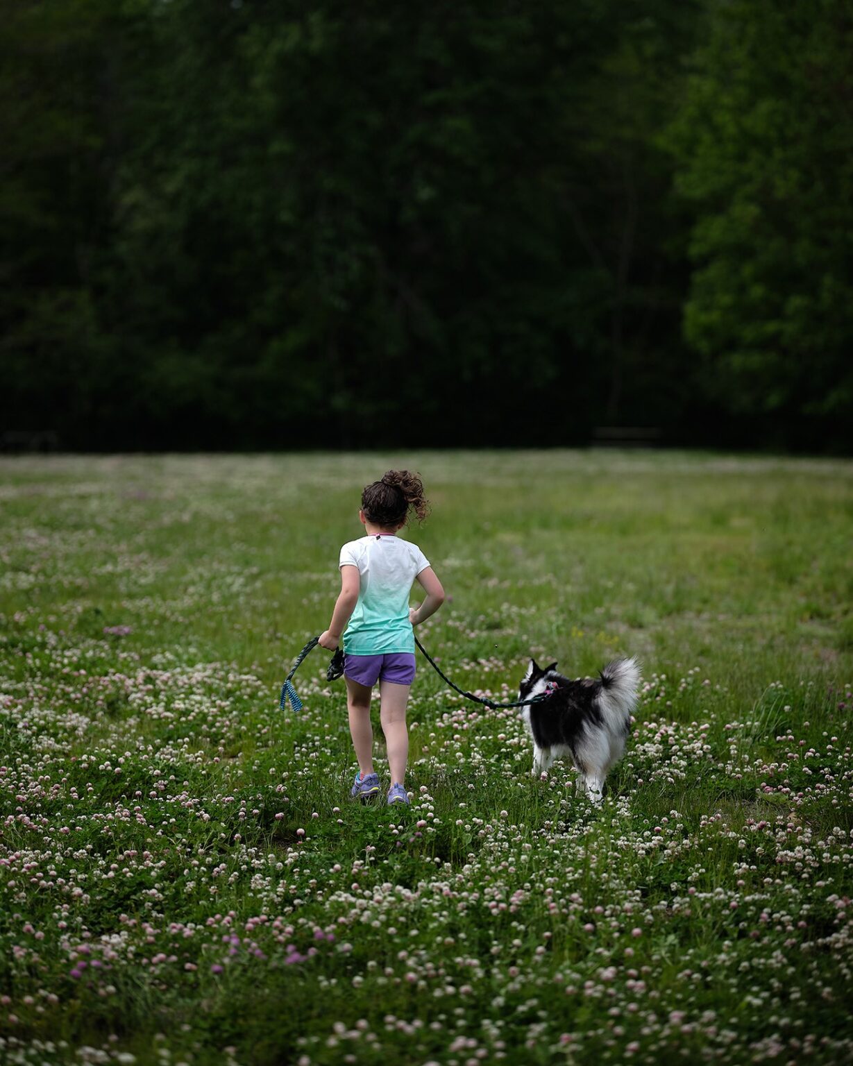 glamping-with-dogs-terramor-outdoor-resorts